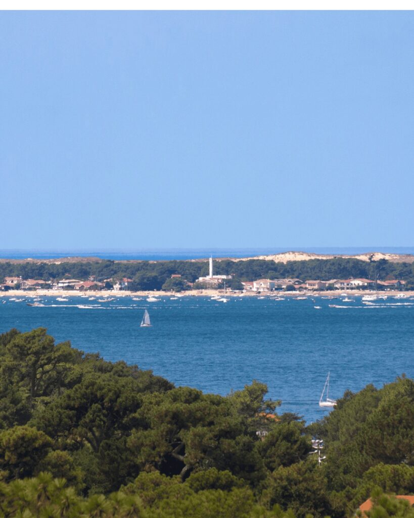 Transdev Bassin d’Arcachon and Hubup